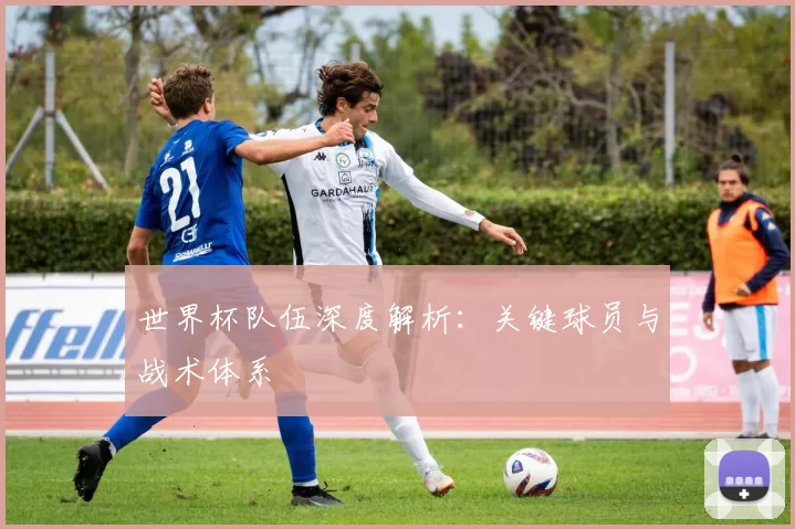世界杯队伍深度解析:关键球员与战术体系