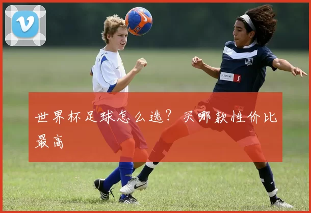 世界杯足球怎么选？买哪款性价比最高