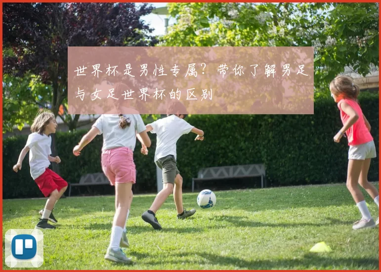 世界杯是男性专属?带你了解男足与女足世界杯的区别