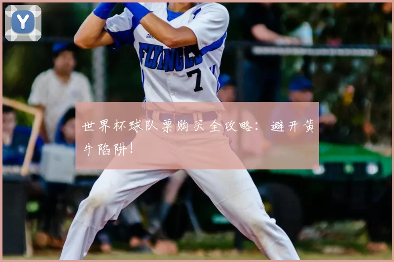 世界杯球队票购买全攻略：避开黄牛陷阱！