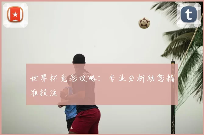世界杯竞彩攻略：专业分析助您精准投注