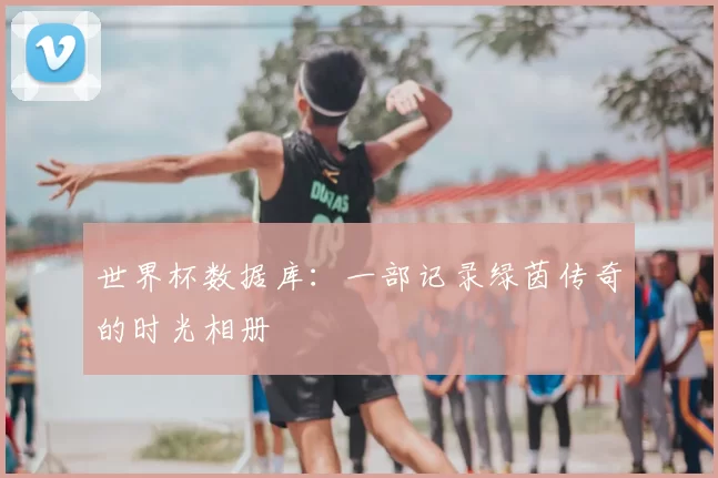 世界杯数据库:一部记录绿茵传奇的时光相册