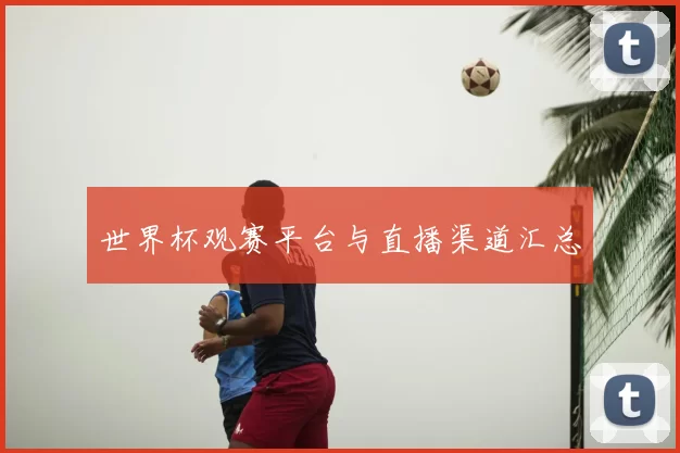 世界杯观赛平台与直播渠道汇总