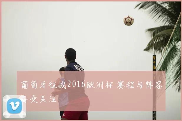 葡萄牙征战2016欧洲杯 赛程与阵容备受关注