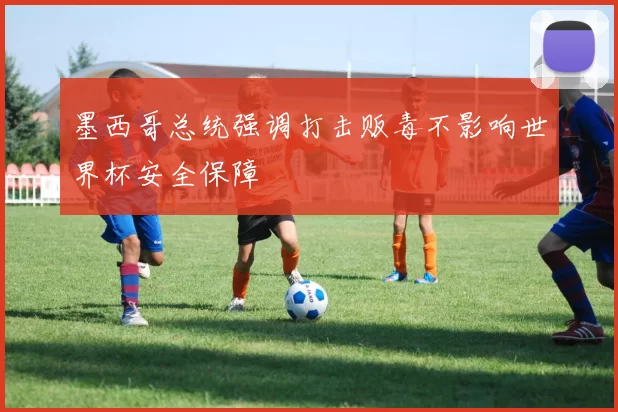 墨西哥总统强调打击贩毒不影响世界杯安全保障