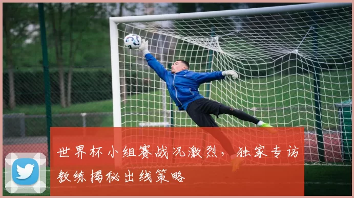 世界杯小组赛战况激烈，独家专访教练揭秘出线策略