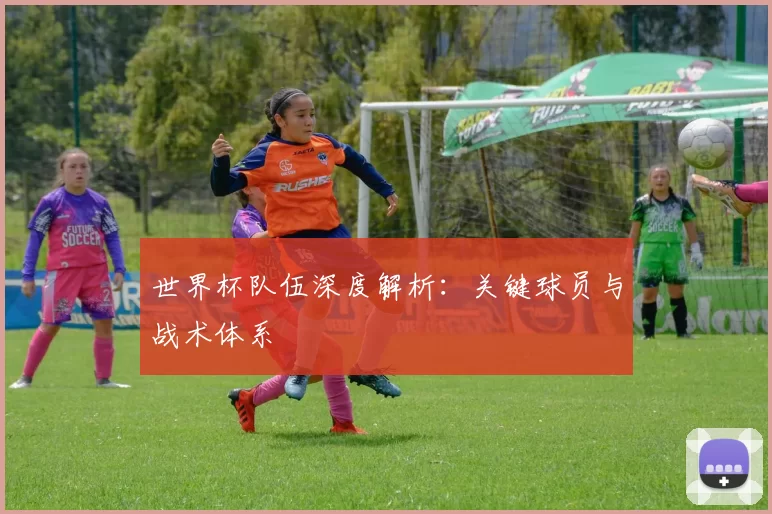 世界杯队伍深度解析:关键球员与战术体系