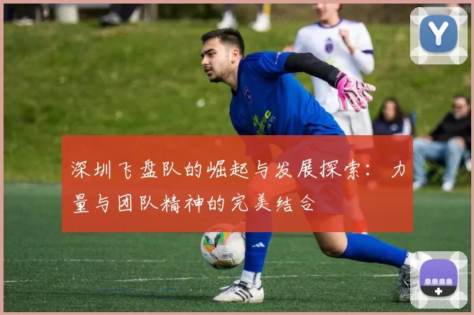 深圳飞盘队的崛起与发展探索：力量与团队精神的完美结合