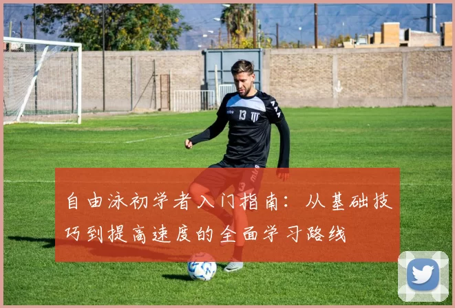 自由泳初学者入门指南：从基础技巧到提高速度的全面学习路线