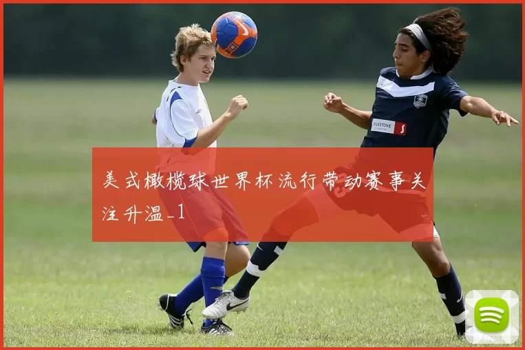美式橄榄球世界杯流行带动赛事关注升温_1