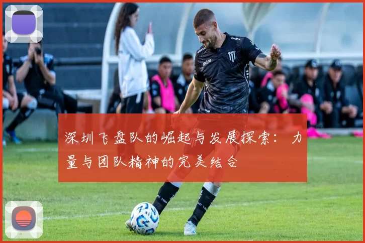 深圳飞盘队的崛起与发展探索：力量与团队精神的完美结合